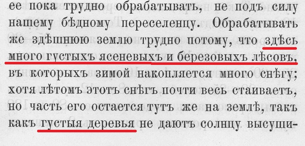 «Рассуждения о «працивилизации» — это невежество»: зачем египтяне строили пирамиды
