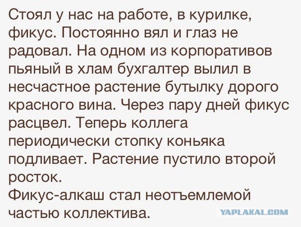 Смешные картинки из сети на 26.10.16