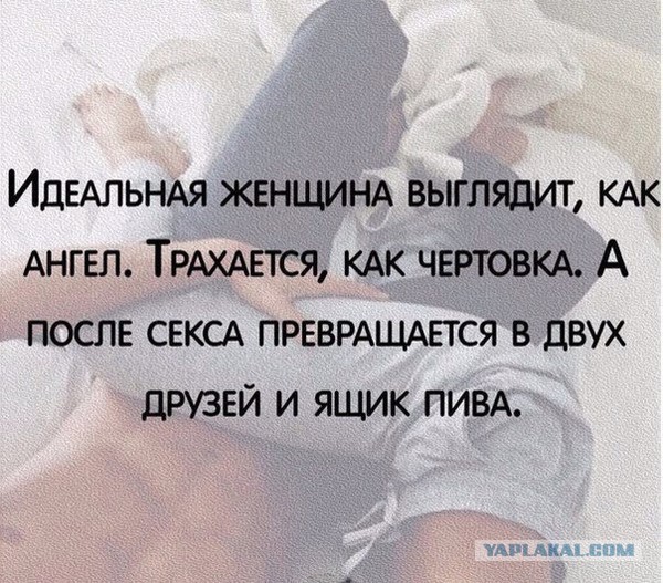 О женщинах в картинках – уголок мужского шовиниста (30+)