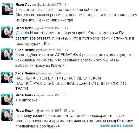 Мирный протест говорите?