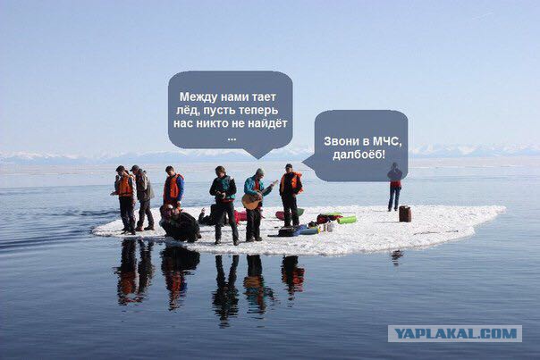 Абсурдная и циничная тупизна