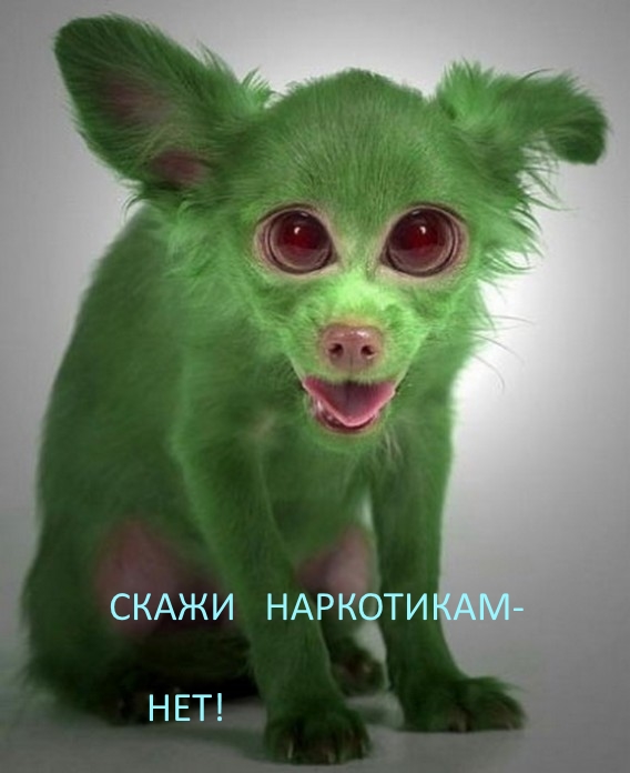 Леонид, царь Спарты