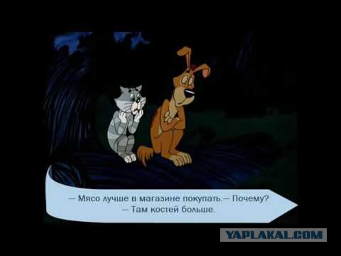 Мясо на взгляд мясника