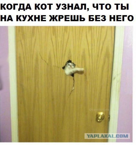 Журнал "Деградант" , предновогодней выпуск