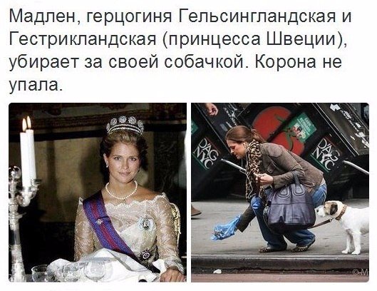Подборка картинок для настроения