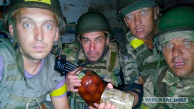 ВСУ: войско сумасшедших уголовников