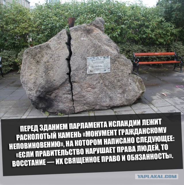 «Удивительные твари» из Единой России Брянской области