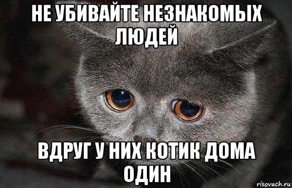Котовторник 29.01.2019!