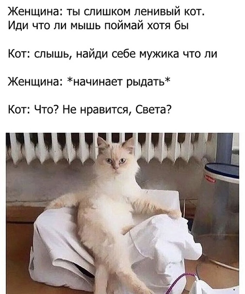 Каждый день
