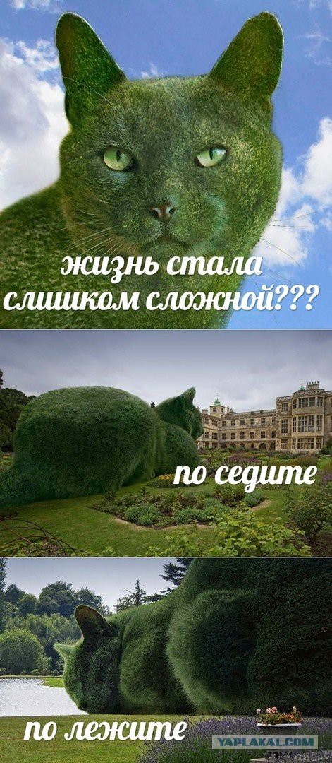 Нестандартный юмор