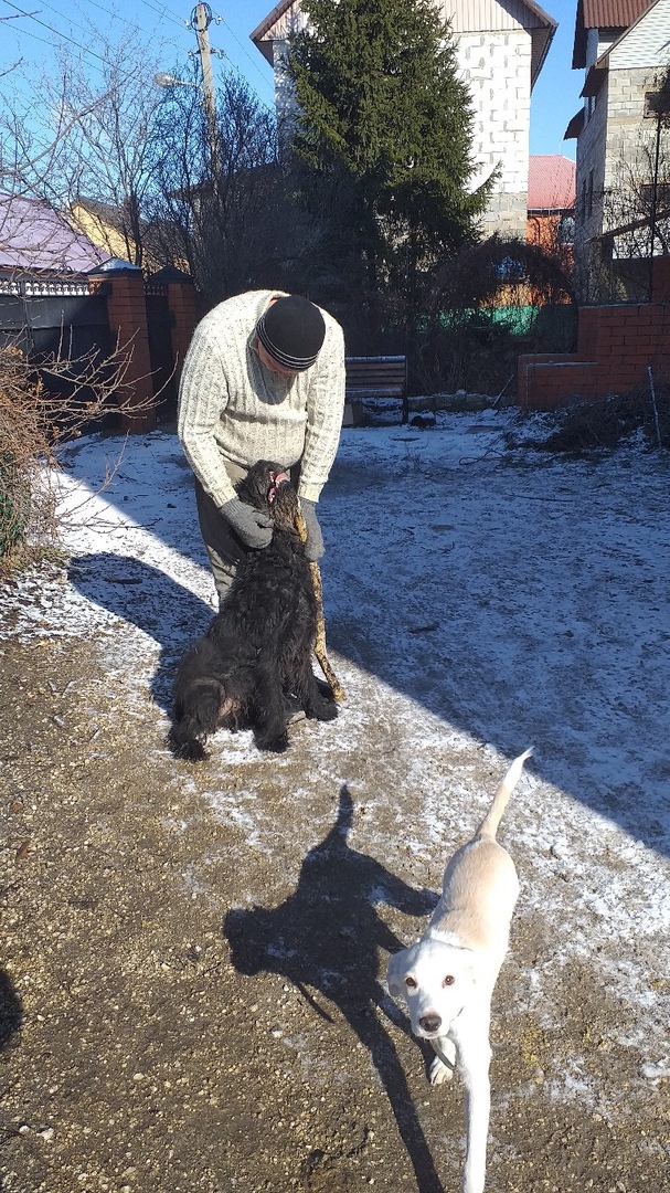 Собакочетверг. Нам сегодня 7 лет!