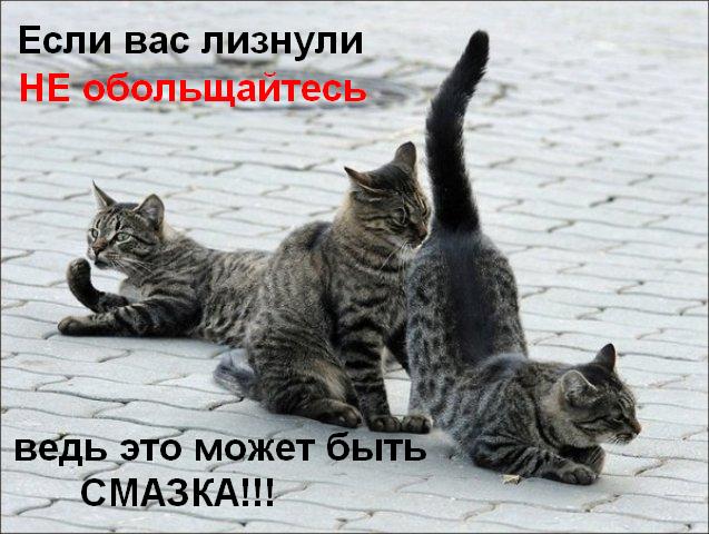 Подпиши фото!