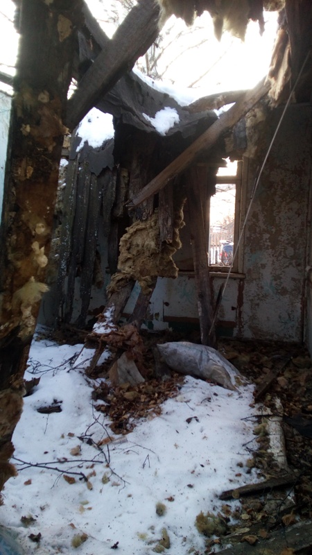 Купил участок в садовом обществе