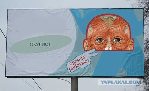 Орган работает! (8 фото)