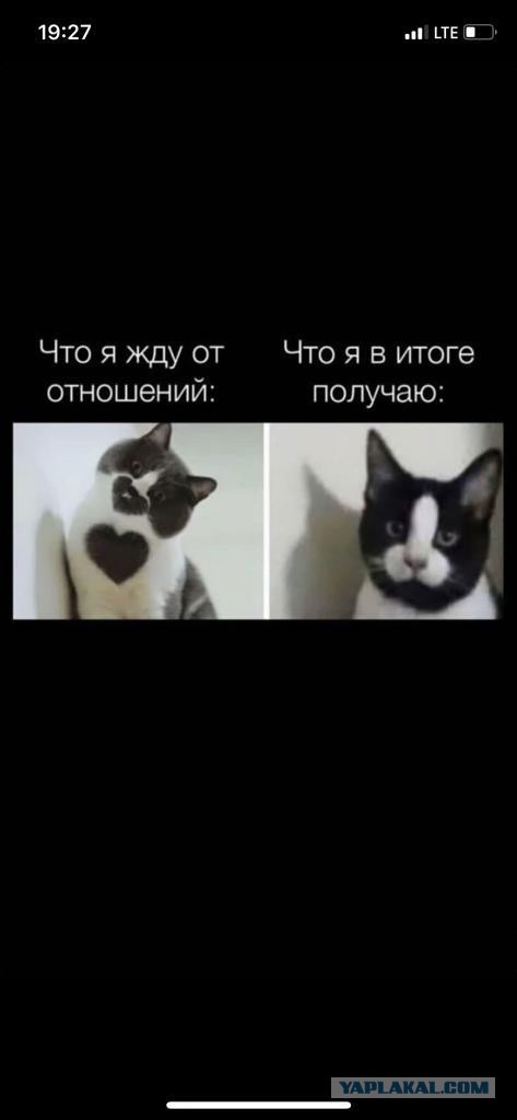 Когда фотографируешься на паспорт