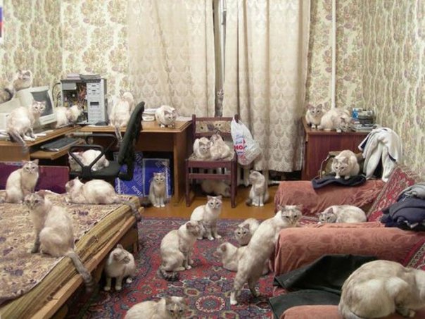 Картинки разные