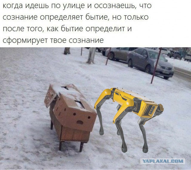 Бредзона 16.12.2020