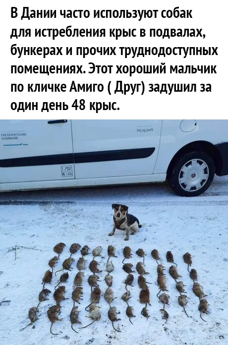 Картинки с надписями и всякие жизненные фразы 23.1.21
