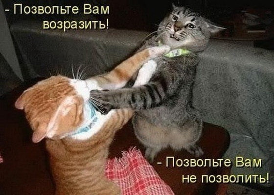 Мы пьем пиво, или что сейчас называется пивом?