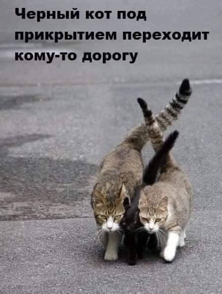 Картинки разные 27.04.2021