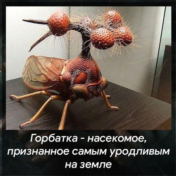 Картинки и мемы для настроения