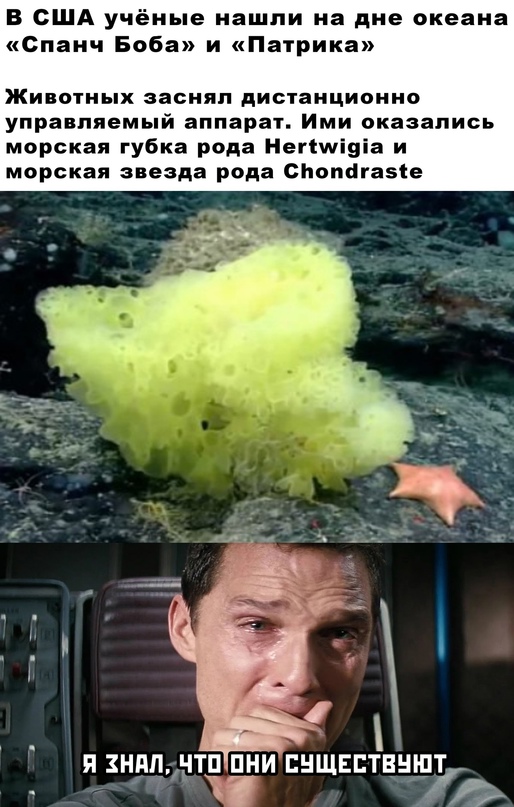 Весёлый полтишок 29.07