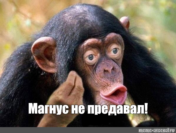 25 популярных заблуждений, которые вам внушали всю жизнь
