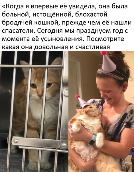 Картинки и мемы для настроения 17.11.2021
