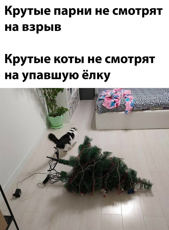 Картинки и мемы для настроения
