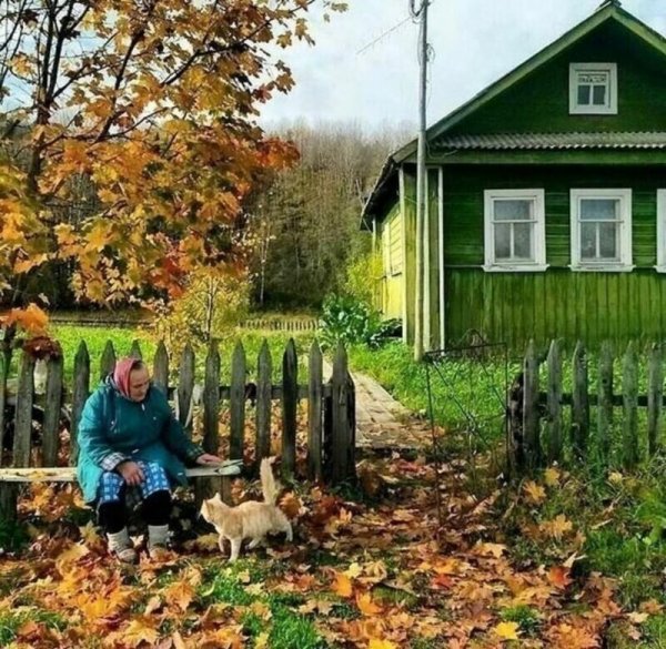 Прикольные и просто красивые картинки 31.01.2022