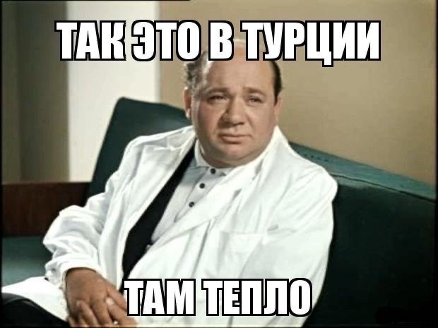 Торговый автомат для кормления бездомных кошек и собак