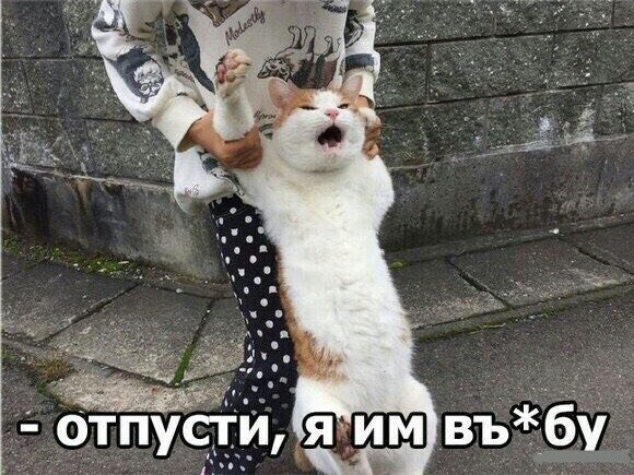 Немецкий журналист на Украине