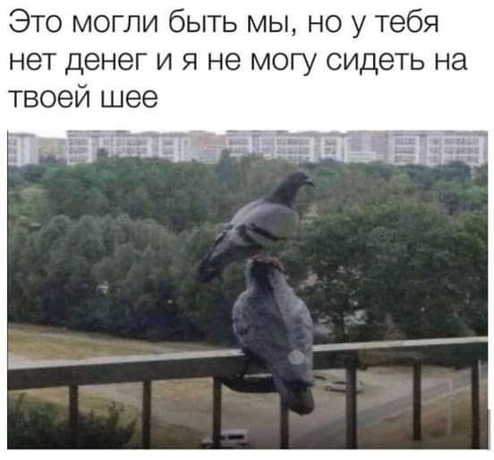 Так себе картинки 06.04.22