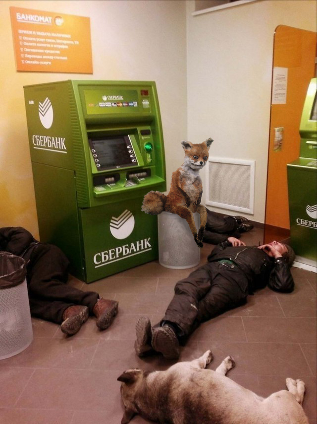 Чудики из социальных сетей 09.04.22