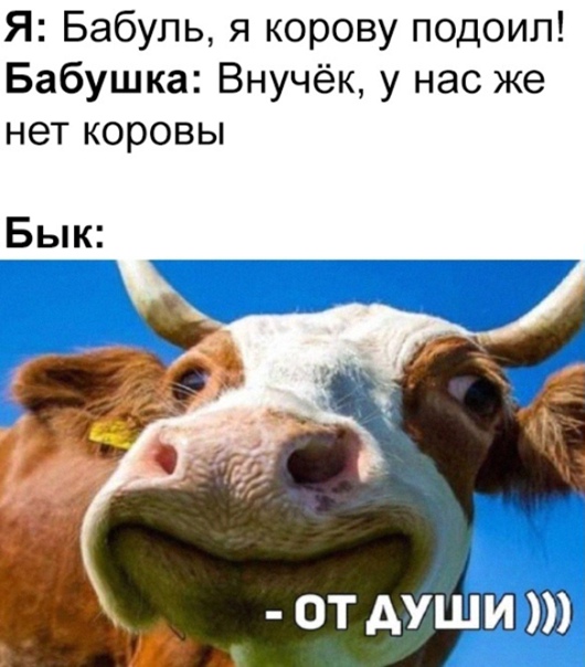 Весёлый полтишок 14.04.22