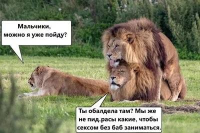 Картинки аморальные и всякие разные - 28