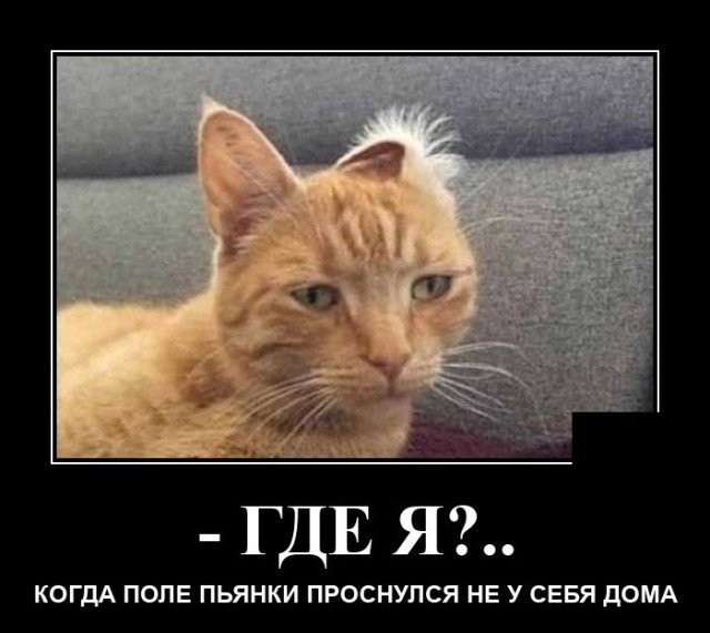 Картинки с надписями 31.07.22