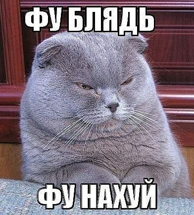 Молниеносное окончание интервью Киркорова на концерте в Питере