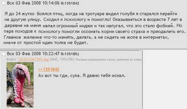 "Они чувствуют твой страх.."