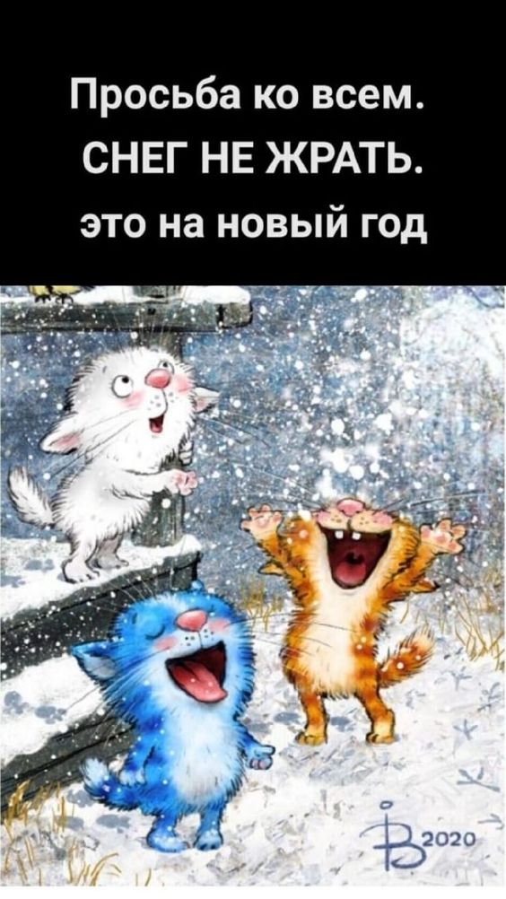 Прикольные и просто красивые картинки 30.12.2022