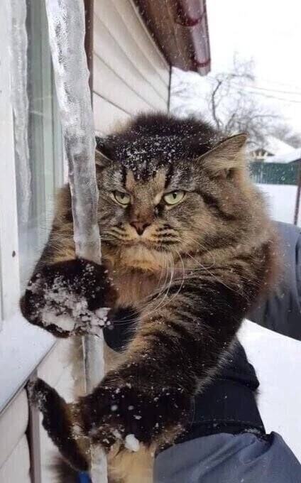 "Раздолье"