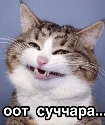 Тестирование у психиатра