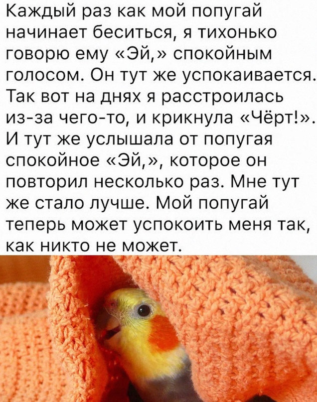 Немного картинок для настроения - 155