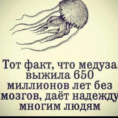 Думы Бони
