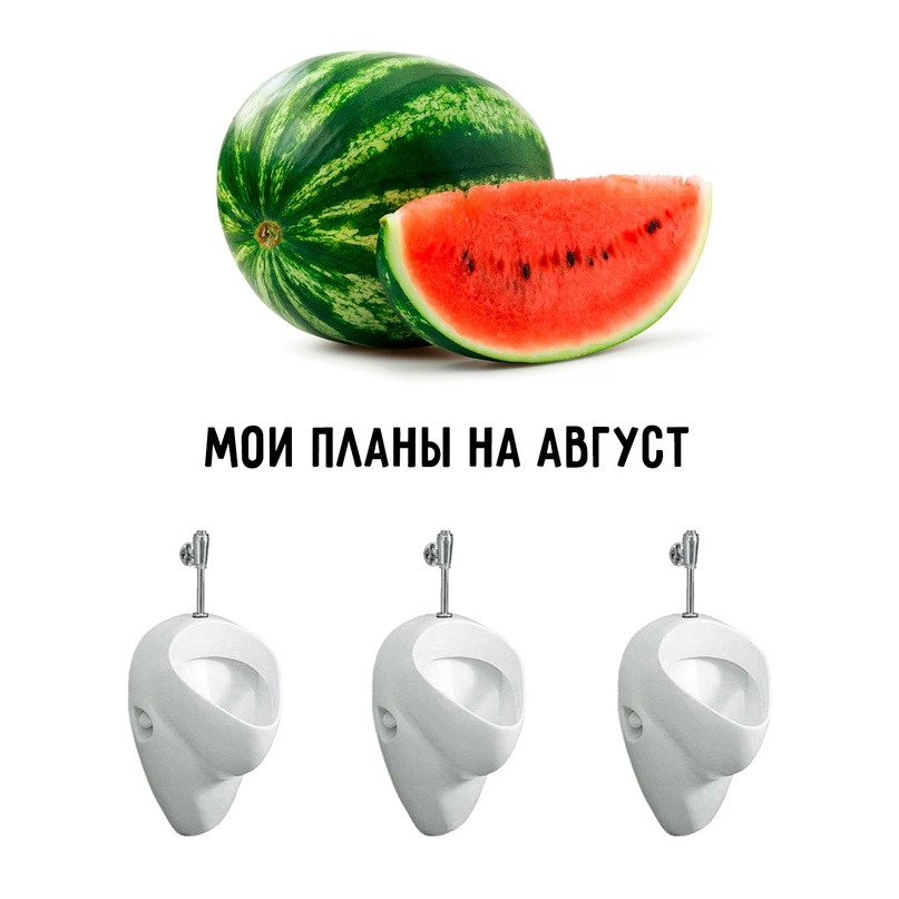 18248371.jpg