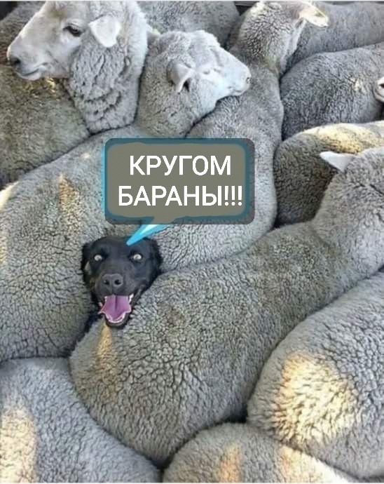 Веселые и не очень картинки и тексты