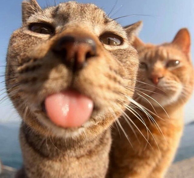 Хочешь узнать, как женщина занимается сексом? Посмотри на то, как она ест