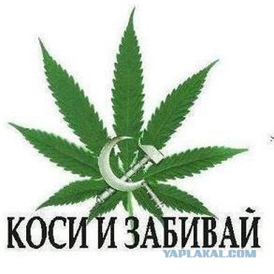 Прикольные и просто красивые картинки