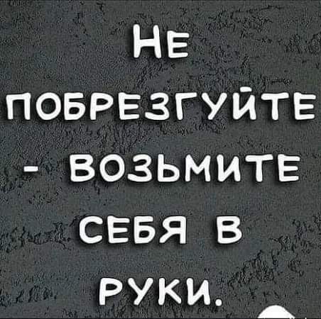 Картинки от Scodero