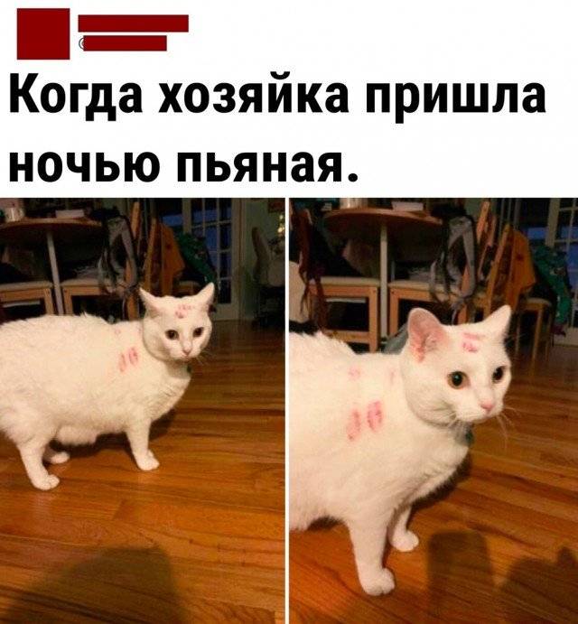 Жена на корпоративе
